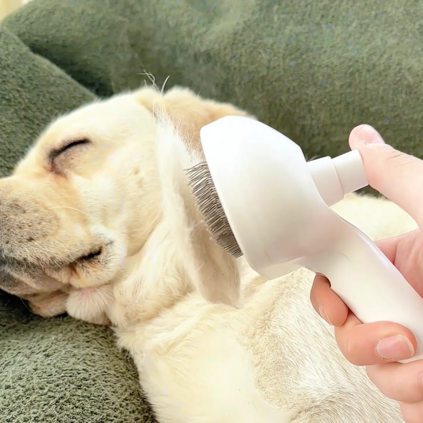 Pawfy Viral Brush Køb 1 – få 1 gratis